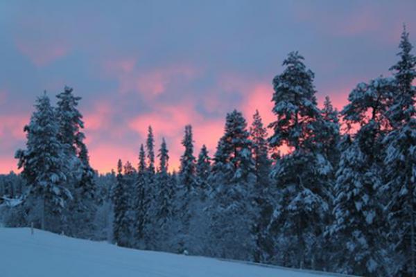 Traumdestination Lappland