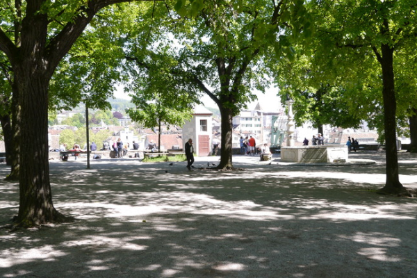 Sommermeeting auf dem Lindenhof